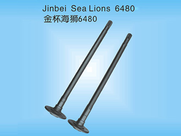 金杯海狮6480半轴